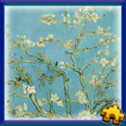 Almond Blossoms