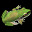 Markerboard Jungle: Frogs icon