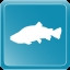 Icon for Brown Trout