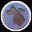 Lunars Demo icon