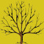 Icon for Skill tree