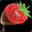 Hentai Strawberry icon
