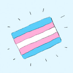 Icon for Trans Rights!