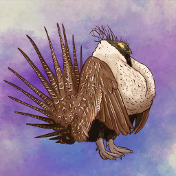 Icon for There's always a bigger bird!