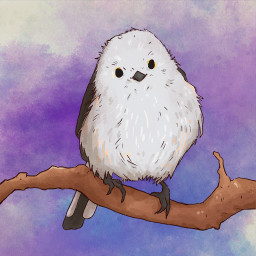 Icon for Robin Crow