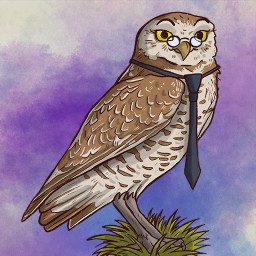 Icon for A Real Know-it-owl: Europe