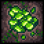 Icon for Photosynthesis