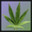 Medicinal Herbs - Cannabis Grow Simulator icon