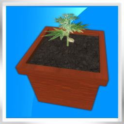 Icon for Grow smart