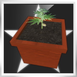 Icon for Clones: Beginner