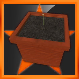 Icon for Seed: Expert