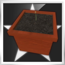 Icon for Seed: Beginner