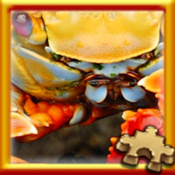 Crab