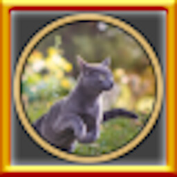 All Cats 2 Puzzles Complete!