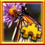 Icon for Drinking Nectar Complete!