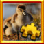 Icon for Ducks Complete!