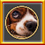 Icon for All Dogs Puzzles Complete!