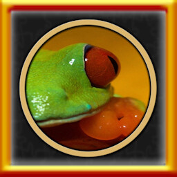 All Colorful Animals Puzzles Complete!