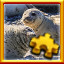 Icon for Seals Complete!