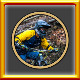 Icon for All Dirt Sport Puzzles Complete!