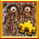 Icon for Wooden Owl Complete!