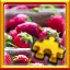 Icon for Strawberries Complete!