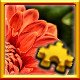 Icon for Flower Complete!