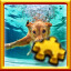 Swimming Complete!
