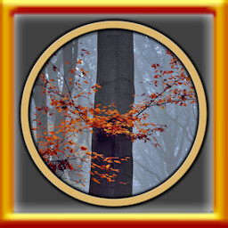 All Forests Puzzles Complete!