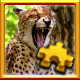 Icon for Cheetah Complete!