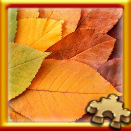 Puzzle Complete!