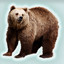 Icon for Hand Bear