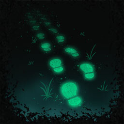 El llamado del Bosque