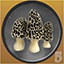 Icon for Mushroom Hunter Level 5