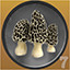 Icon for Mushroom Hunter Level 7