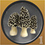 Icon for Mushroom Hunter Level 1