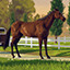 Icon for First foal