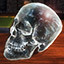 Icon for Get Rid of The Skull (Crystal Skull I)