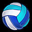 Icon for VOLLEYBALL CHAMP!