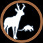 Icon for All Summer Animals…Check