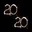 Icon for New Year 2020