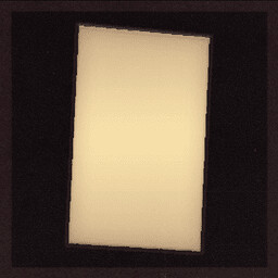 Collectible: Torn Family Photo