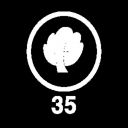35 Plants