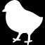 Icon for Protect the chicks