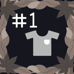 Icon for First New Clothes!