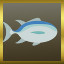 Silver Tuna!