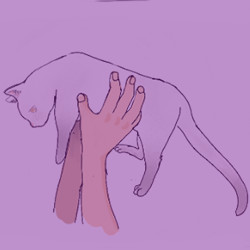 The cat is also a part of my stalking.