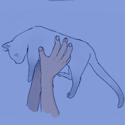 The girl might also like the cat.