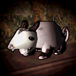 Possum