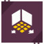 Icon for Expansion in Session